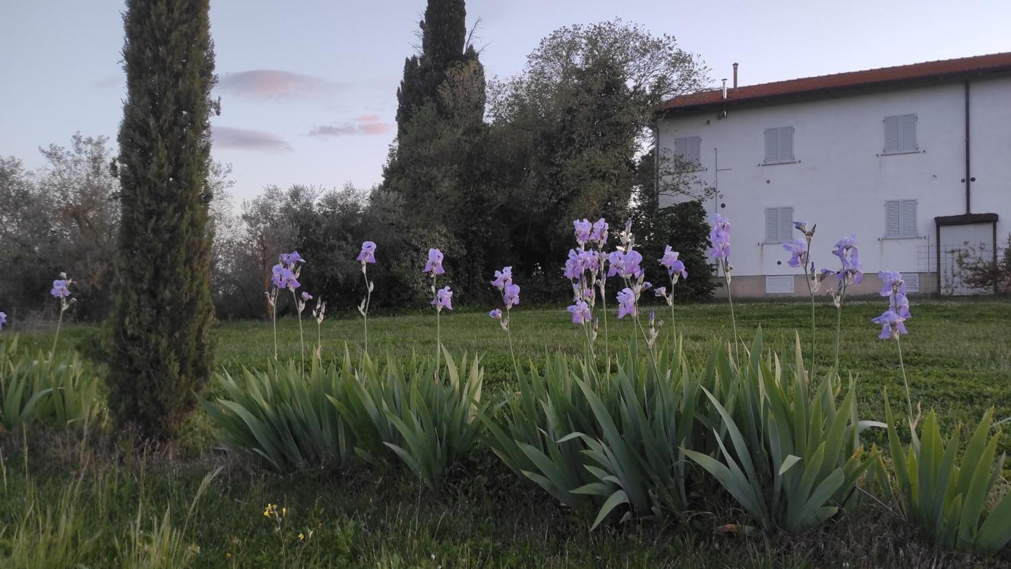 Borgo Iris Villa Pietraia Buitenkant foto