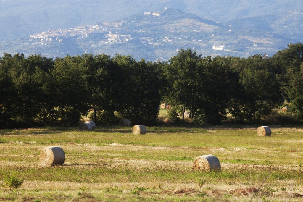 Borgo Iris Villa Pietraia Buitenkant foto